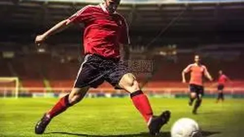 开云体育App 资讯 110652 svl