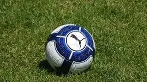 开云体育App 产品 113923 5dr