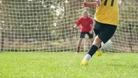 开云体育App 产品 110419 o19