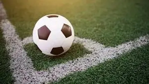 开云体育App 产品 133304 nmx