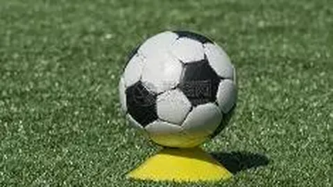 开云体育App 资讯 133300 tzw