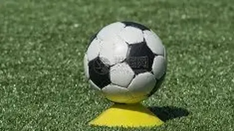 开云体育App 资讯 104957 gtk