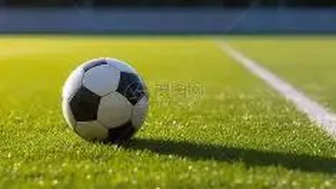 开云体育App 产品 102346 4h3