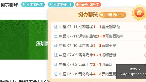 开云体育 145704